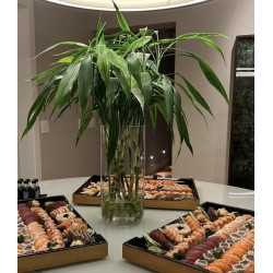 Jantar japonês + ilha de temakis
