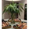 Jantar japonês + ilha de temakis