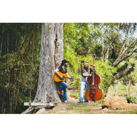Música ao vivo - Folk
