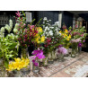 Pot-pourri de flores em garrafinhas e vasos