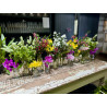 Pot-pourri de flores em garrafinhas e vasos