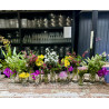 Pot-pourri de flores em garrafinhas e vasos